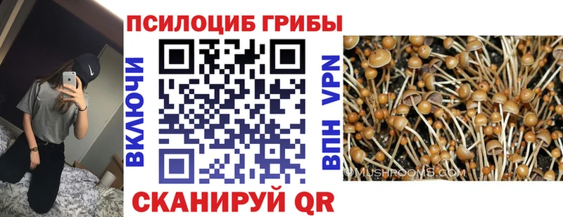 Галлюциногенные грибы Psilocybe  Рузаевка 
